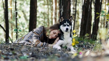 Tv Discussion: Top Reasons Why 'Wolf Like Me' is a Must-Watch