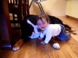 Una linda amistad entre el bebe y el perro