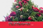 Christmas Song Rockin Around the Christmas Tree by Brenda Lee