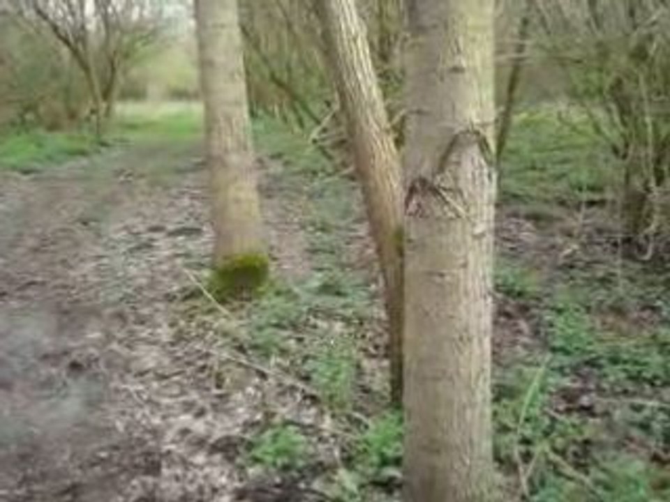 MOV00233