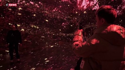 Ouverture d'un musée immersif et sensoriel à New York