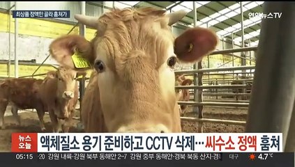 액체질소 용기 준비하고 CCTV 삭제…'씨수소 정액' 절도범 덜미