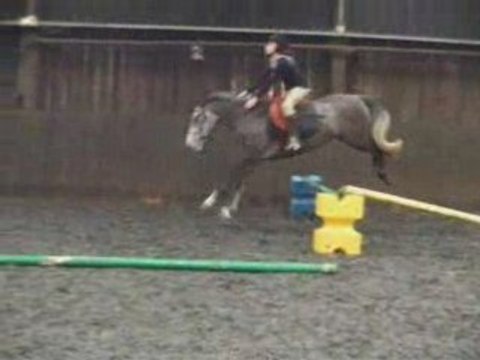 Cours de Saut Jeunes Poneys