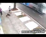 Pitbull atacan a mujer y sus mascotas