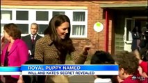 El Pincipe  William y Kate Middleton adoptan un Perro