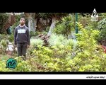 برنامج أنت تقدر - حلقة يوم 19/3/2024