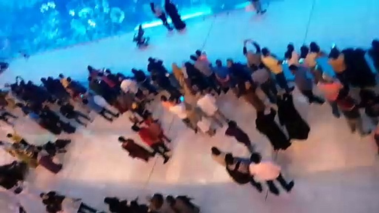 Dubai Mall Aquarium