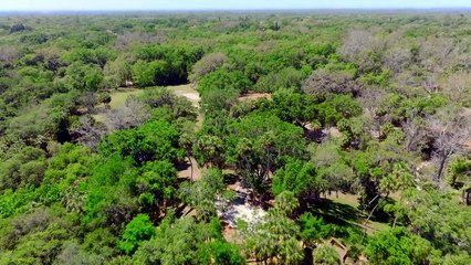 Watch R.A.D.A.R.- The Adventures of the Bionic Dog (2023) Full Movie For Free