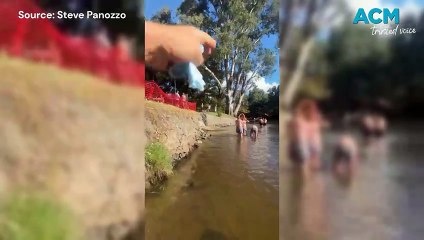 Albury resident gives alternative solution to Noreuil Park rehabilitation