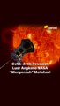 Detik-detik Pesawat Luar Angkasa NASA _Menyentuh_ Matahari _ Narasi Newsroom