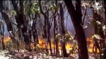 Sin control el incendio en bosque de La Primavera en Jalisco