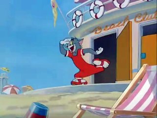 Tom and jerry slat water tabby