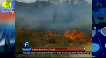 Incendios Forestales en Biosfera La Sepultura en Tonala Chiapas