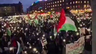 Massive demonstrations take place in Denmark in support of Palestine  free palestine gaza