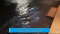 Un río de agua en La Plata: así quedó 3 y 61