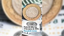 Precio del dólar hoy 19 de marzo de 2024; Peso pierde terreno