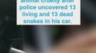 Serious animal cruelty charges laid against man after car found filled with snakes
