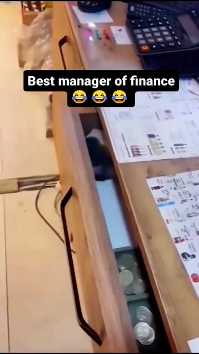 best finance manager