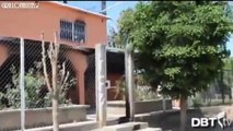 Sicarios atacan comunidad de El Palmar en Guasave Sinaloa