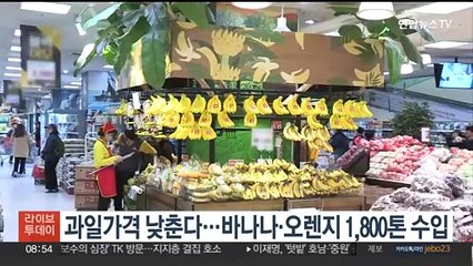 과일 가격 낮춘다…바나나·오렌지 1,800t 수입