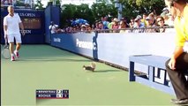 Ardilla se cuela en Juego de Tenis