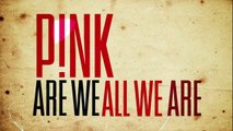 Pnk  Are We All We Are Official Lyric Video HD