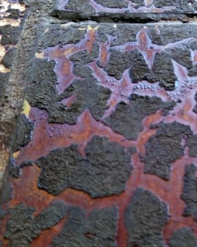 |HABIB ARIEL CORIAT HARRAR | EL PAPEL DE LA NANOTECNOLOGÍA EN LA EFICIENCIA ENERGÉTICA (PARTE 3) (@HABIBARIELC)