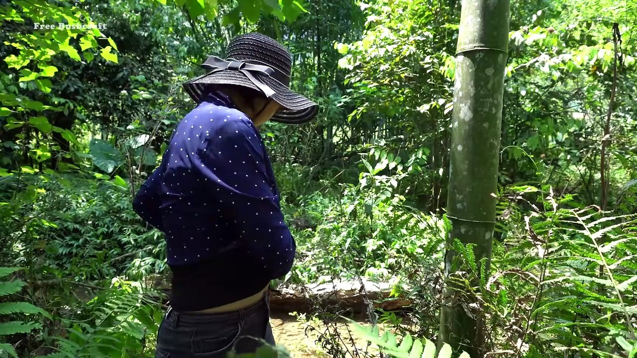 3 Day SOLO Bushcraft & Camping - Gym in the woods | Free Bushcraft Ep.3