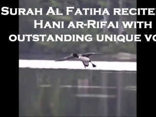 Surah Al Fatiha recited by  Hani ar-Rifai with outstanding unique voice