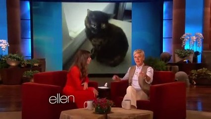 Download Video: Lea Micheles Interview The Ellen Show  Exclusive