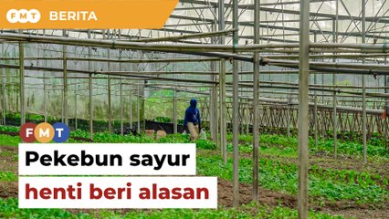 Henti beri alasan, bos Mydin beritahu pekebun sayur