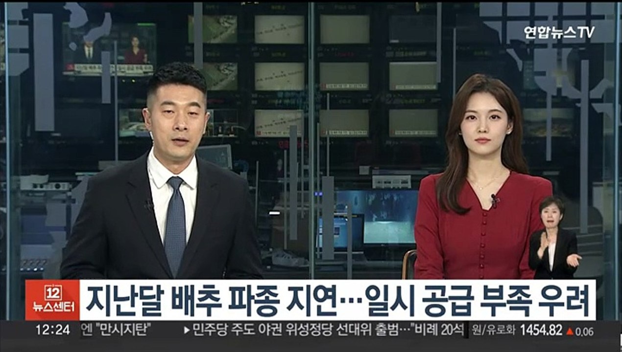 지난달 배추 파종 지연…일시 공급 부족 우려