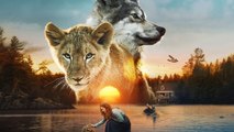 Le loup et le lion vidéo bande annonce