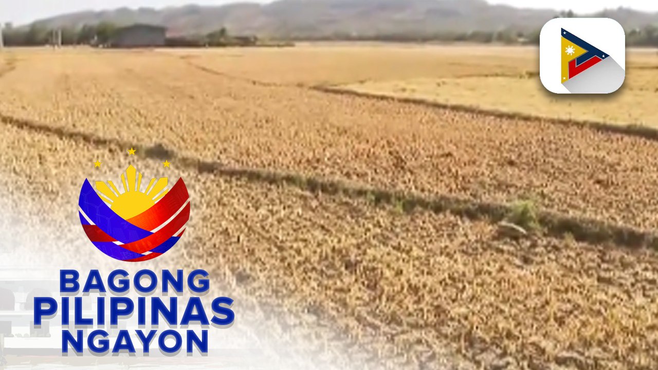 Panayam kay PCO Asec. Joey Villarama, Task Force El Niño Spokesperson