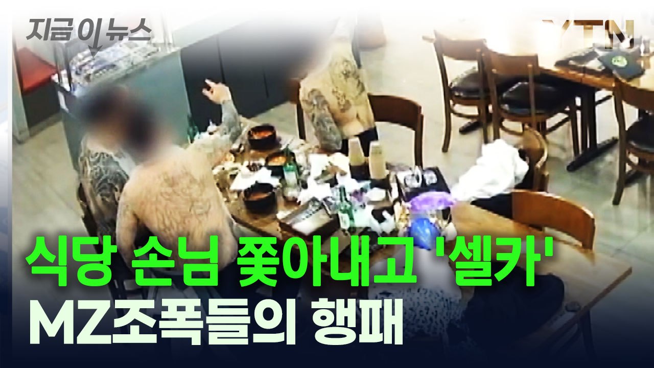 문신 보여주며 손님 쫓아내기까지...MZ 조폭들의 식당 난동 [지금이뉴스] / YTN