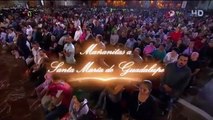 Pedro Fernandez canta Despierta en las Mañanitas a La Virgen de Guadalupe