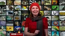 BBC Mundo Freak Santas semidesnudos y un coro felino