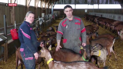 Agriculture : le paradoxe français