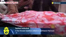 5 Maestras Asesinadas en Pakistán