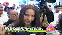 Posible romance entre Luis Miguel y Kate del Castillo