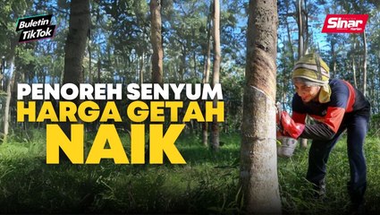Harga getah naik RM4, bonus buat penoreh getah