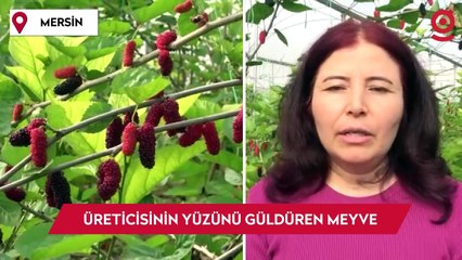 Kilosu 80 TL: Üreticisinin yüzünü güldüren meyve "karadut"