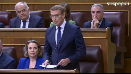 Feijóo advierte a Sánchez: "Si cree que ha dado carpetazo a lo que ha pasado en su casa se equivoca"