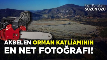 AKBELEN ORMAN KATLİAMININ EN NET FOTOĞRAFI ÇEKİLDİ!