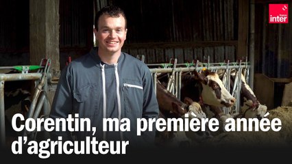 Première année d'exploitation agricole pour Corentin
