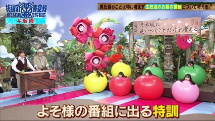 ユーチューブ バラエティ 動画 倉庫 Varietydouga.com - 坂道の向こうには青空が広がっていた。  動画　2024年3月20日
