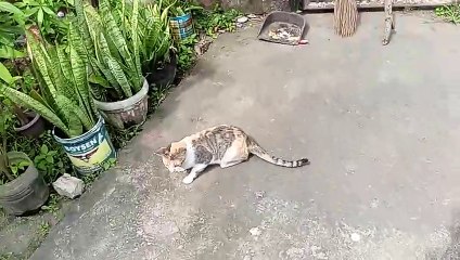 Nagulat naman e. Hahaha