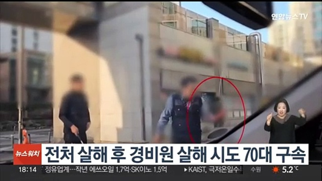 전처 살해 후 경비원 살해 시도 70대 구속…"도주 우려"