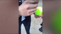 Alcaraz, i tifosi gli fanno firmare una palla da tennis