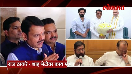 राज ठाकरेंसाठी कोणती जागा सोडणार? देवेंद्र फडणवीस पाहा काय म्हणाले..